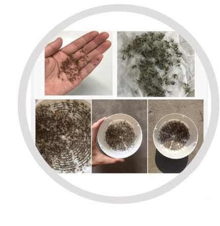 ¿Ya te decepcionó una lámpara mata mosquitos que "no atrapaba nada"?